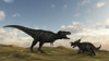 An Einiosaurus is confronted by a Tyrannosaurus Rex Poster Print - Item # VARPSTKVA600440P