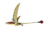 Eudimorphodon flying prehistoric reptile, white background Poster Print - Item # VARPSTVET600078P