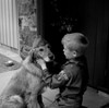 Boy scout in uniform with dog wearing scout hat Poster Print - Item # VARSAL255416940