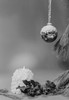 Christmas bauble  holly and candle Poster Print - Item # VARSAL255421381