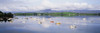 Bantry Bay, County Cork, Ireland; Boats In Bay PosterPrint - Item # VARDPI1825661