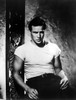 A Streetcar Named Desire Marlon Brando 1951 Photo Print (8 x 10) - Item # MINEVCMBDSTNAEC036H