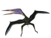 Zhejiangopterus was a carnivorous pterosaur dinosaur that lived in China during the Cretaceous Period Poster Print - Item # VARPSTCFR200553P