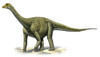 Titanosaurus indicus, a prehistoric era dinosaur from the Upper Cretaceous period Poster Print - Item # VARPSTSKR100080P