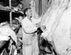 Butcher inspecting beef at butcher's shop Poster Print - Item # VARSAL255416671