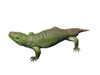Seymouria is a reptiliomorph from the Early Permian period of Texas Poster Print - Item # VARPSTNBT100181P