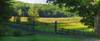 Corn field; Dunham, Quebec, Canada PosterPrint - Item # VARDPI12254183
