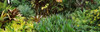 http://c328301.r1.cf1.rackcdn.com/PPI141140L.jpg