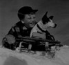 Boy sledging with dog Poster Print