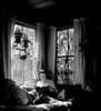 Young woman reading in living room Poster Print - Item # VARSAL255416897