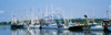 Shrimp boats at a harbor, Bayou La Batre, Alabama, USA Poster Print (8 x 10) - Item # MINPPI77820L