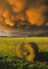 Fv3566, Natural Moments Photography; Haybale And Storm Clouds PosterPrint - Item # VARDPI2010857