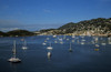 St John's, Antigua, West Indies, Caribbean PosterPrint - Item # VARDPI1819560