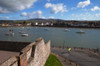 View from King John's Castle, Dungarvan, County Waterford, Ireland Poster Print (8 x 10) - Item # MINPPI150500S