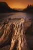 Banff, Alberta, Canada; Driftwood And A Mountain River At Sunset PosterPrint - Item # VARDPI1874342