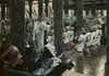 Multitude in the Temple  James Tissot Poster Print - Item # VARSAL9999195