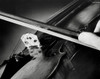Close-up of a violin Poster Print - Item # VARSAL25522253