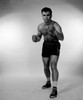 Studio portrait of male boxer Poster Print - Item # VARSAL255417610
