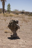 A U.S. Marine pulls security while his team boards a UH-60 Black Hawk helicopter at Playas Training Area, New Mexico during exercise Angel Thunder 2013 Poster Print - Item # VARPSTTMO101002M