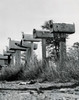 Low angle view of a row of mailboxes Poster Print - Item # VARSAL25532621