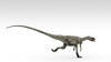 Coelophysis dinosaur, white background Poster Print