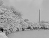 Washington Monument Poster Print - Item # VARSAL255421777