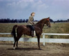Young woman riding a horse Poster Print - Item # VARSAL307736191