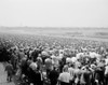 USA  New York State  Elmont  Spectators at Belmont race track  1958 Poster Print - Item # VARSAL255424156