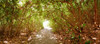 http://c328301.r1.cf1.rackcdn.com/PPI149959S.jpg