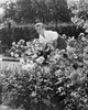 Young woman gardening Poster Print - Item # VARSAL25532228