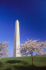 Washington Monument Poster Print (8 x 10) - Item # MINDPI1783027