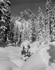 USA  Cascade Mountains  stream after heavy snow fall Poster Print - Item # VARSAL255422209