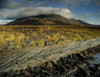 Marsh On The Landscape, Connemara, County Galway, Republic Of Ireland PosterPrint - Item # VARDPI1797471