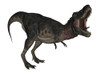 Tarbosaurus dinosaur roaring, white background. Poster Print - Item # VARPSTEDV600259P