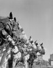 Carriage horses standing in line Poster Print - Item # VARSAL255421731