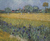View of Arles with Irises  1888  Vincent van Gogh  Oil on Canvas  Van Gogh Museum  Amsterdam  Netherlands Poster Print - Item # VARSAL9003665