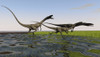 Group of Coelophysis dinosaurs running through swampy water Poster Print - Item # VARPSTKVA600595P