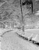 Park in winter Poster Print - Item # VARSAL255418948