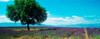 http://c328301.r1.cf1.rackcdn.com/PPI145033S.jpg