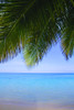 Tropical View PosterPrint - Item # VARDPI1771170