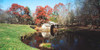 Trees around a watermill, Mabry Mill, Blue Ridge Parkway, Floyd County, Virginia, USA Poster Print - Item # VARPPI155180