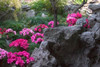 http://c328301.r1.cf1.rackcdn.com/PDDAS07KSU0759.jpg