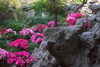 http://c328301.r1.cf1.rackcdn.com/PDDAS07KSU0759B.jpg