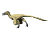 Utahraptor is a theropod from the Early Cretaceous period Poster Print - Item # VARPSTNBT100190P