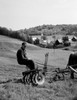 USA  Vermont  Corinth  farmer sitting on agriculture machine pulling by horse Poster Print - Item # VARSAL255416597