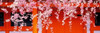 http://c328301.r1.cf1.rackcdn.com/PPI44467L.jpg