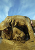 A midshipman crawls through fellow plebes in an obstacle course Poster Print - Item # VARPSTSTK104564M