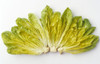 Agriculture - Romaine lettuce hearts fanned out on a white surface, studio. PosterPrint - Item # VARDPI2343496