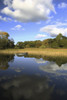 A Boat Sitting In The Water Along The Tall Grass In Killarney National Park In Munster Region; County Kerry, Ireland PosterPrint - Item # VARDPI1898088