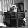 Girl studying Webster's dictionary Poster Print - Item # VARSAL255418187
